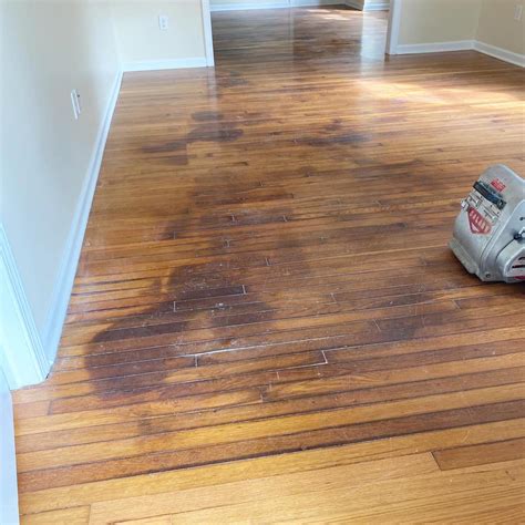 how many coats of stain when refinishing hardwood floors